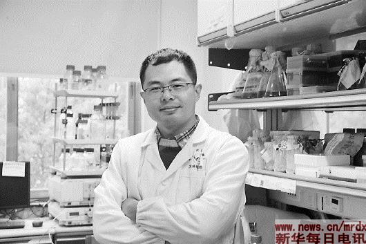 I Pipistrelli del Dottor Peng Zhou all'Origine del Coronavirus?